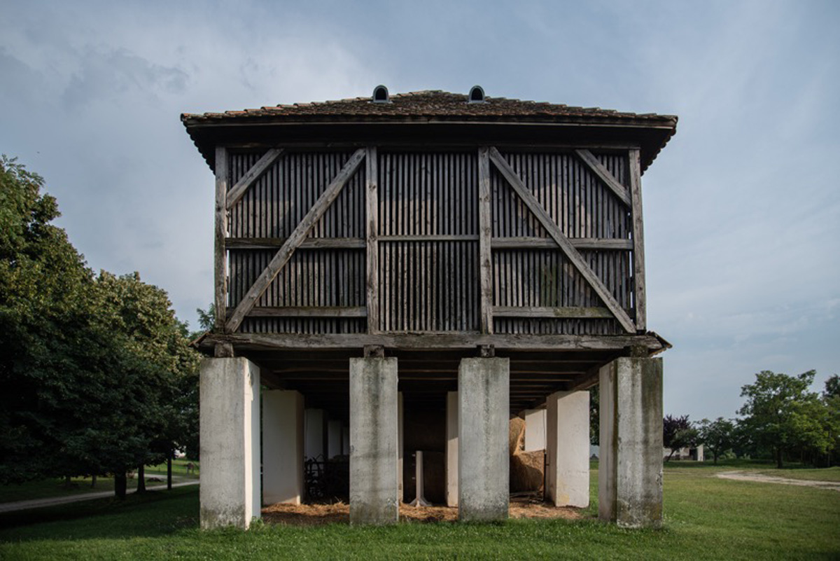 Csóriné Mrázik Orsolya fotográfus vizsgaremek 