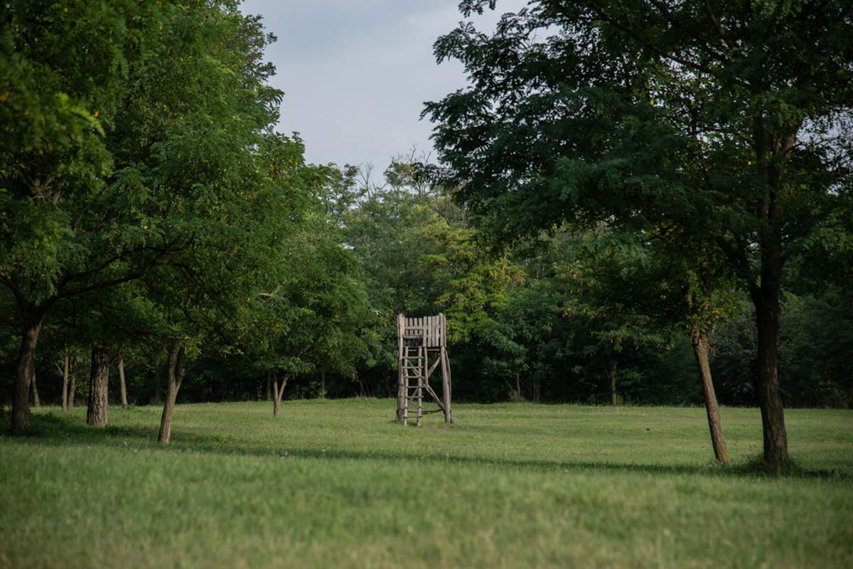 Csóriné Mrázik Orsolya fotográfus vizsgaremek 
