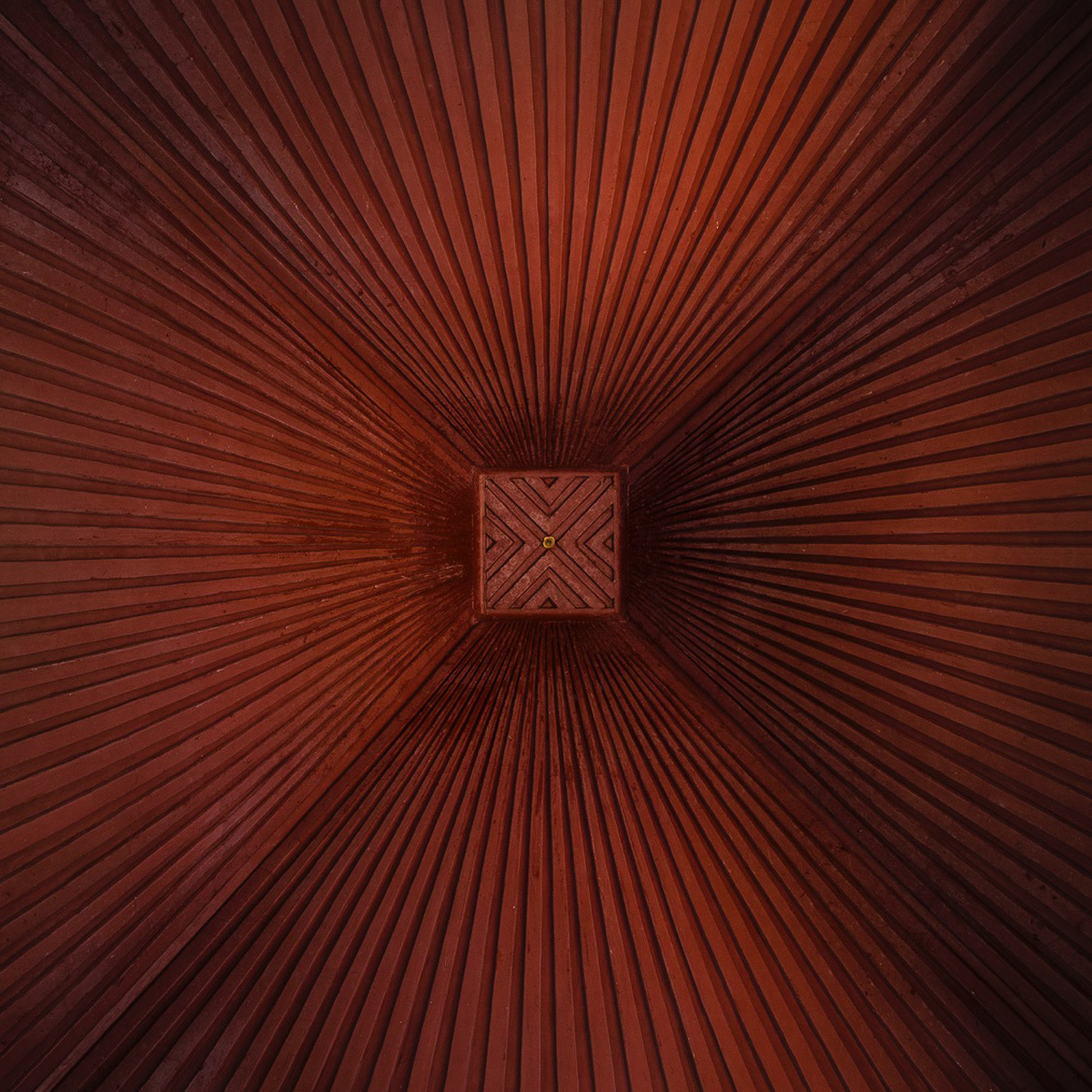 Csóriné Mrázik Orsolya fotográfus vizsgaremek 