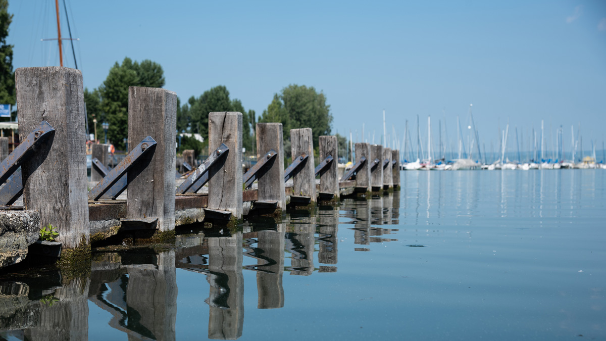 Csóriné Mrázik Orsolya fotográfus vizsgaremek 