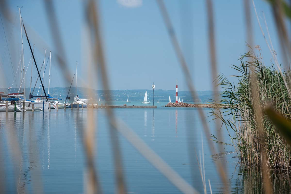 Csóriné Mrázik Orsolya fotográfus vizsgaremek 