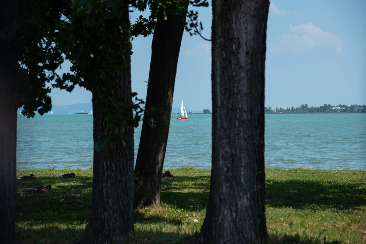 Csóriné Mrázik Orsolya fotográfus vizsgaremek 