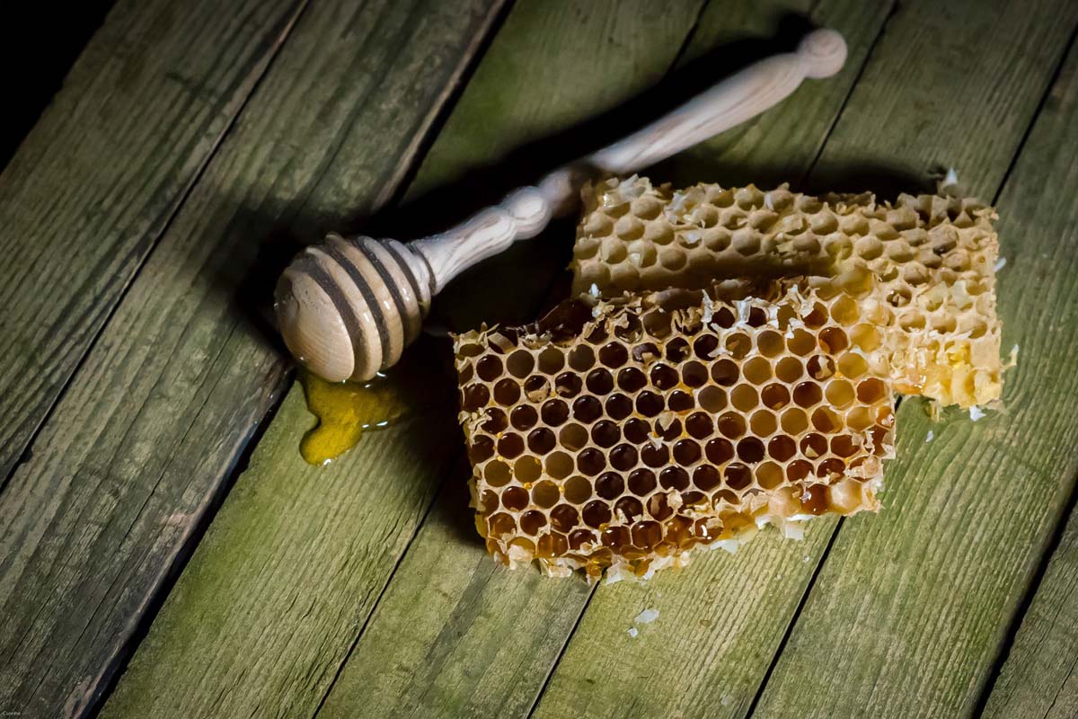 Csóriné Mrázik Orsolya fotográfus vizsgaremek 