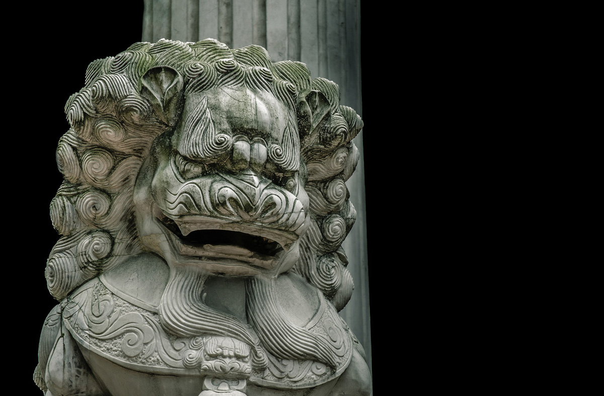 Csóriné Mrázik Orsolya fotográfus vizsgaremek 