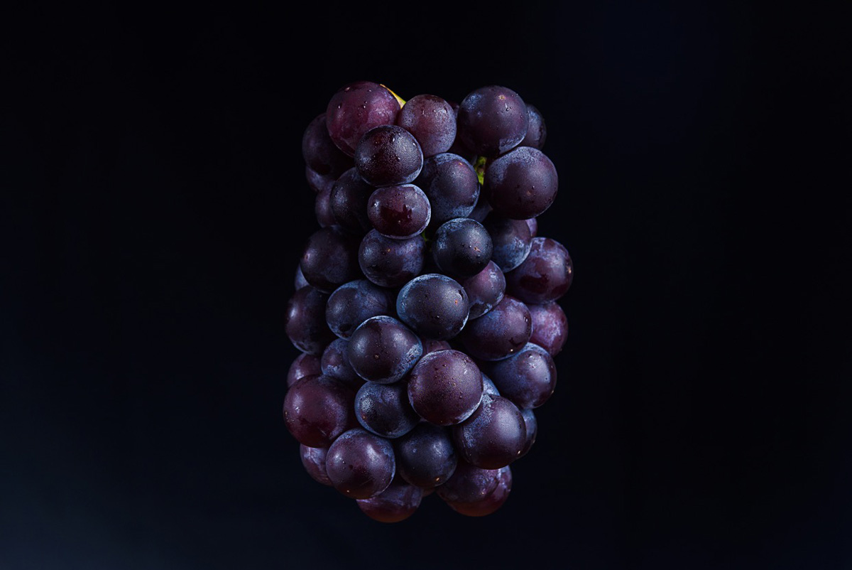 Csóriné Mrázik Orsolya fotográfus vizsgaremek 