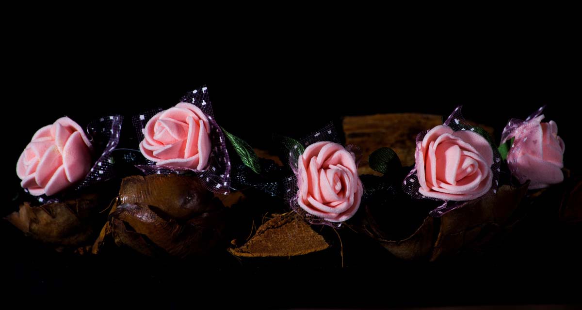 Házi Mónika fotográfus vizsgaremek 