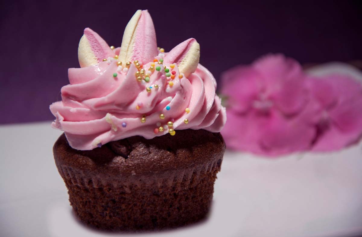 Házi Mónika fotográfus vizsgaremek 