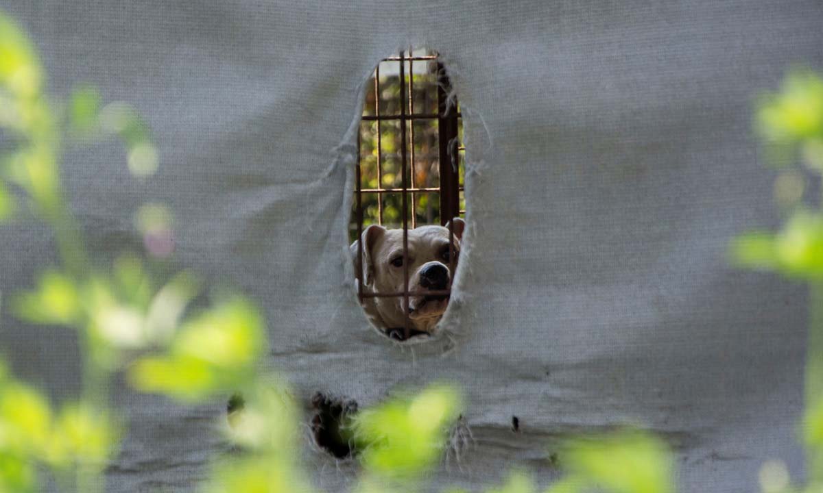 Házi Mónika fotográfus vizsgaremek 
