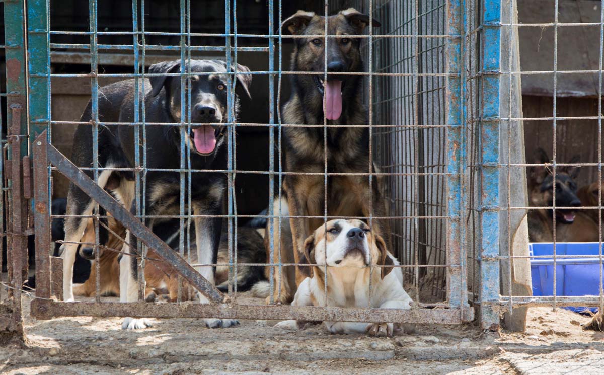 Házi Mónika fotográfus vizsgaremek 