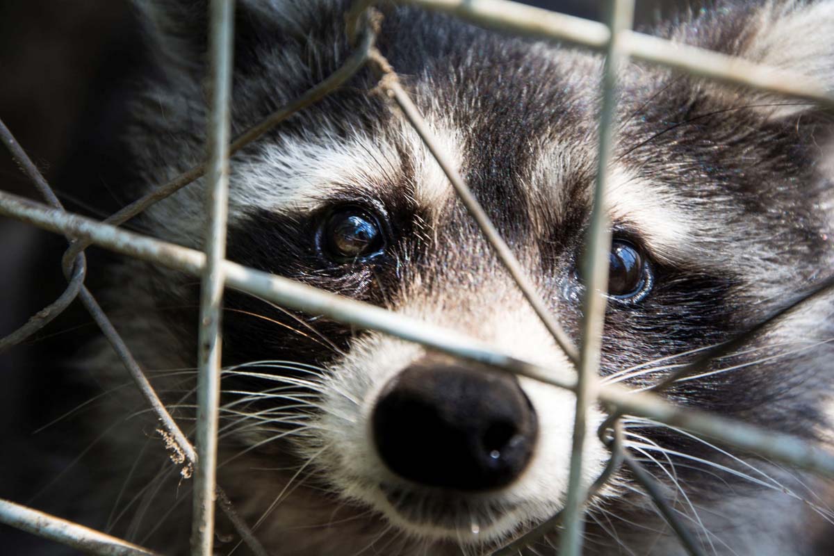 Házi Mónika fotográfus vizsgaremek 