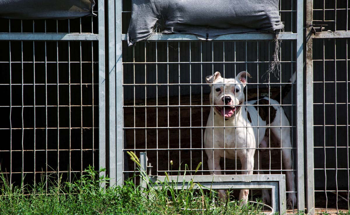 Házi Mónika fotográfus vizsgaremek 