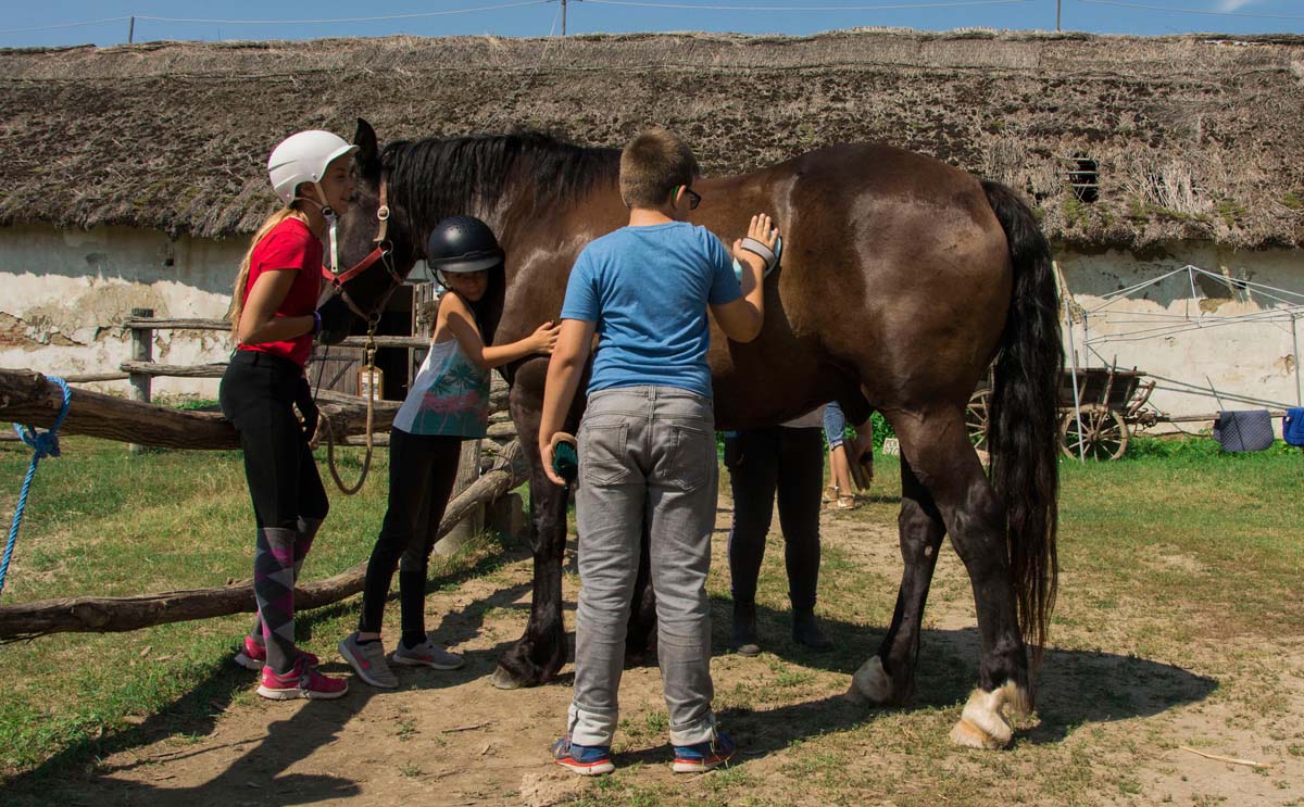 Házi Mónika fotográfus vizsgaremek 