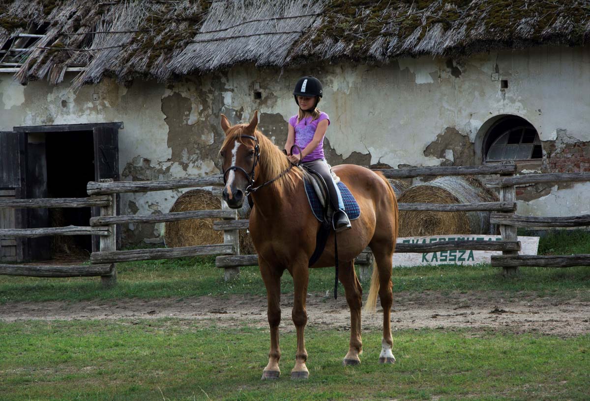 Házi Mónika fotográfus vizsgaremek 