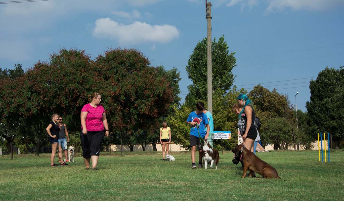 Házi Mónika fotográfus vizsgaremek 