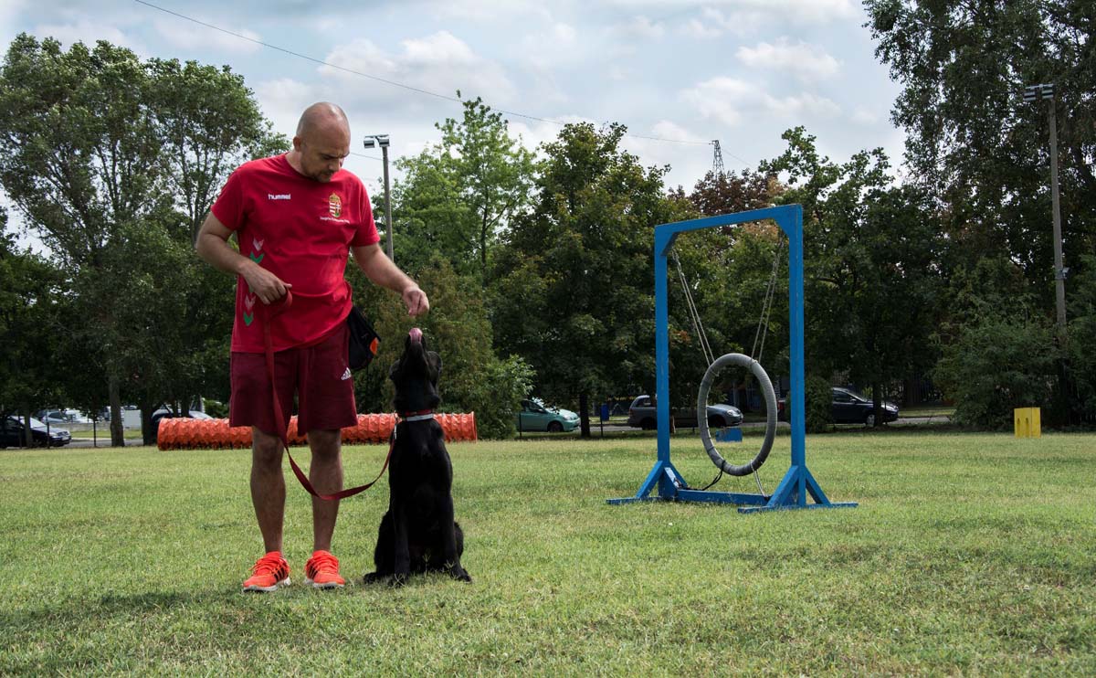 Házi Mónika fotográfus vizsgaremek 