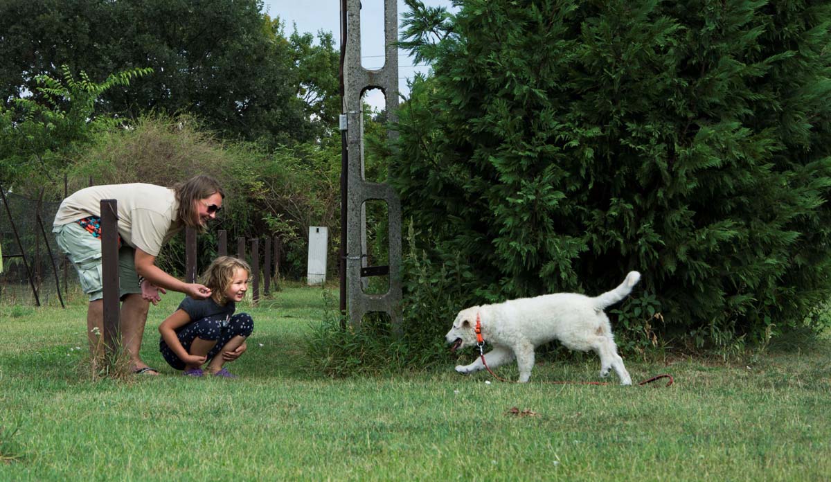 Házi Mónika fotográfus vizsgaremek 