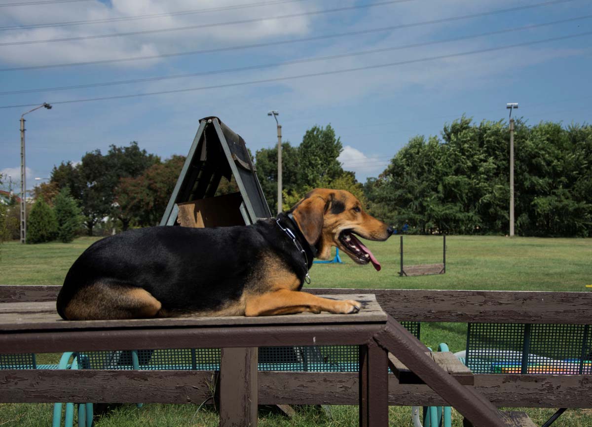 Házi Mónika fotográfus vizsgaremek 