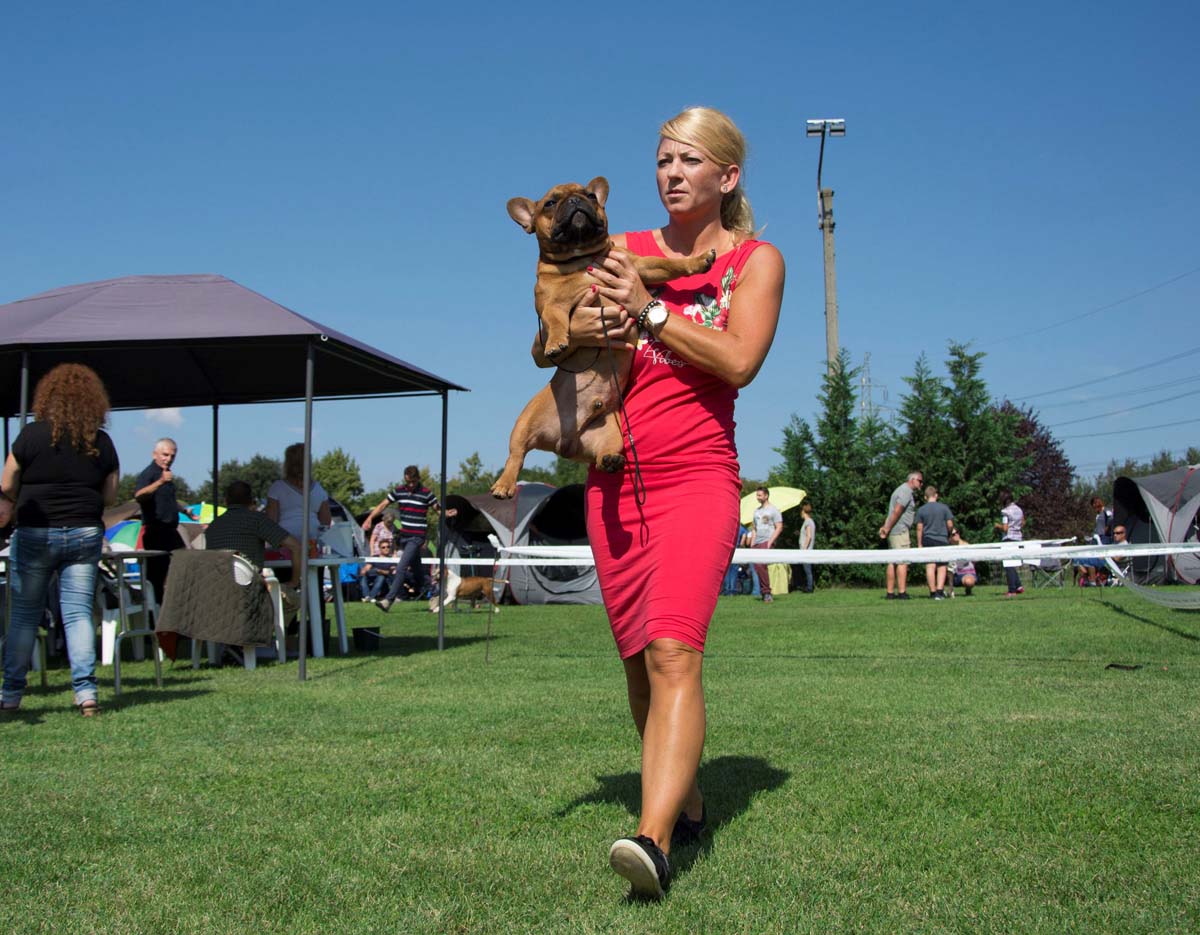 Házi Mónika fotográfus vizsgaremek 