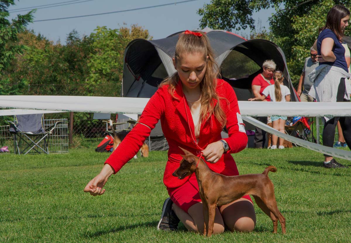 Házi Mónika fotográfus vizsgaremek 