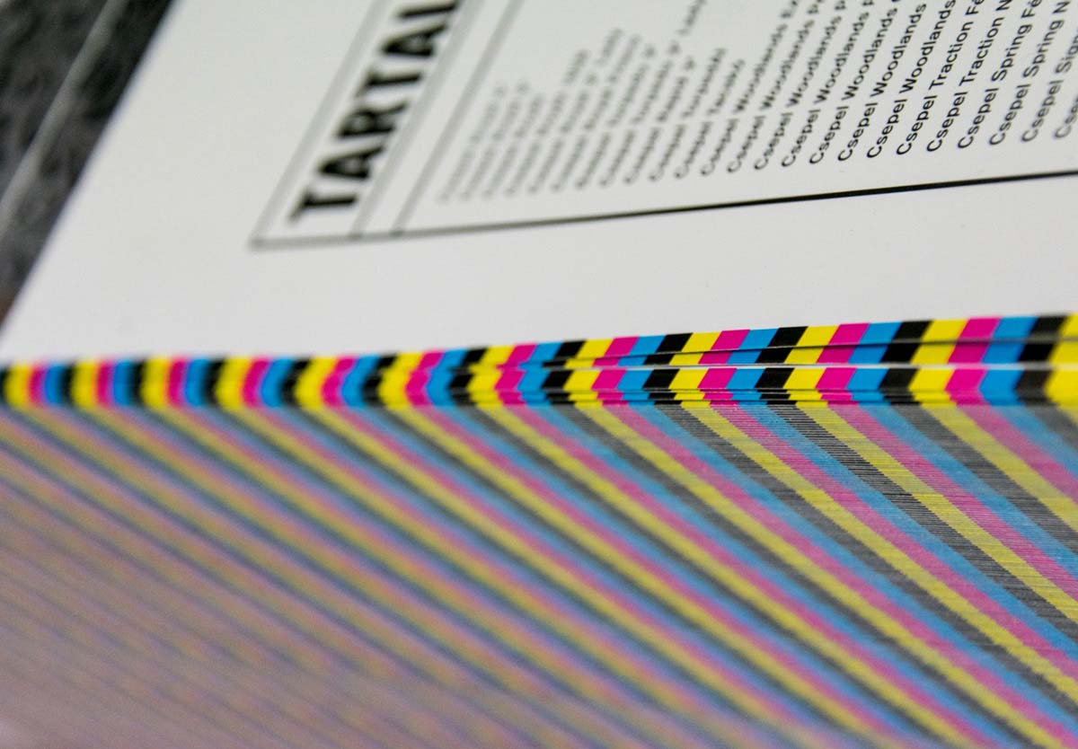 Madarászné Bukszár Csilla fotográfus vizsgaremek 