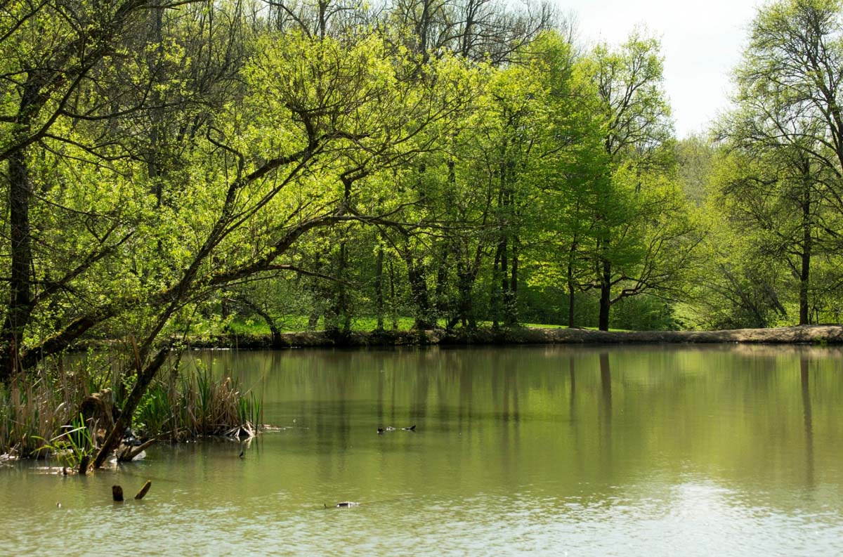 Madarászné Bukszár Csilla fotográfus vizsgaremek 