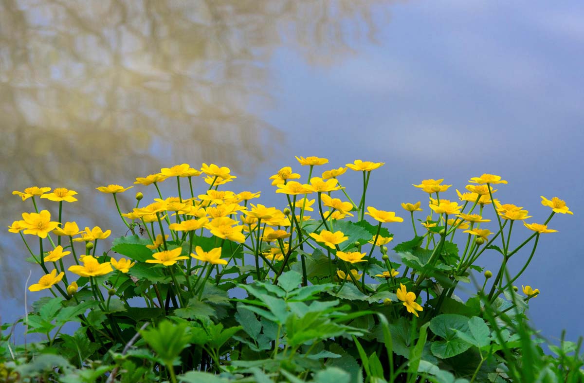 Madarászné Bukszár Csilla fotográfus vizsgaremek 
