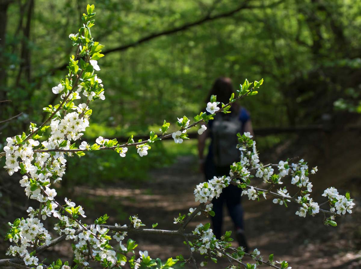 Madarászné Bukszár Csilla fotográfus vizsgaremek 