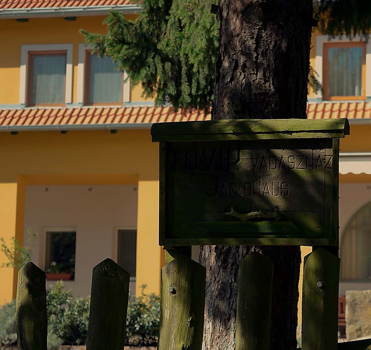 Magócsiné Kis Krisztina fotográfus vizsgaremek 