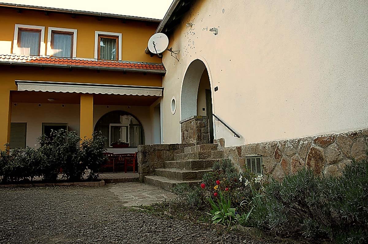 Magócsiné Kis Krisztina fotográfus vizsgaremek 