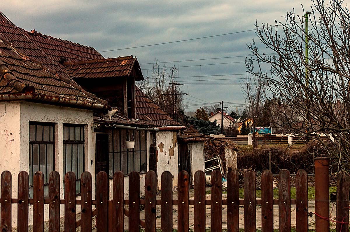 Magócsiné Kis Krisztina fotográfus vizsgaremek 