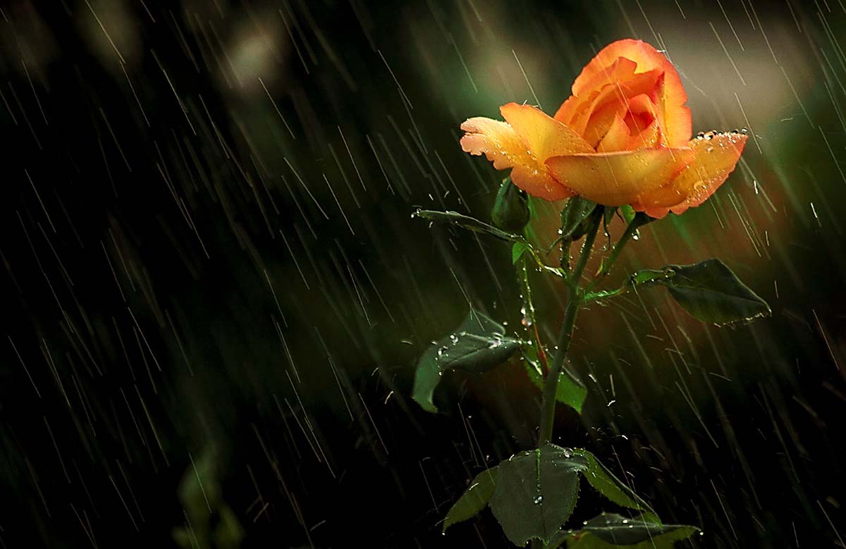 Magócsiné Kis Krisztina fotográfus vizsgaremek 