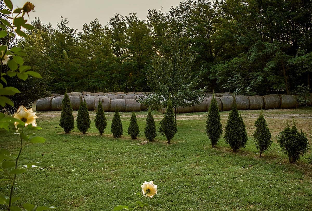 Magócsiné Kis Krisztina fotográfus vizsgaremek 