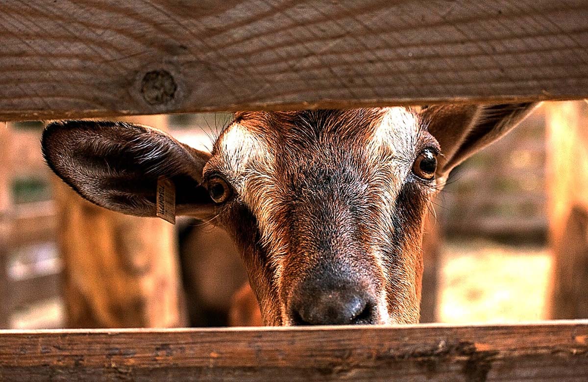 Magócsiné Kis Krisztina fotográfus vizsgaremek 
