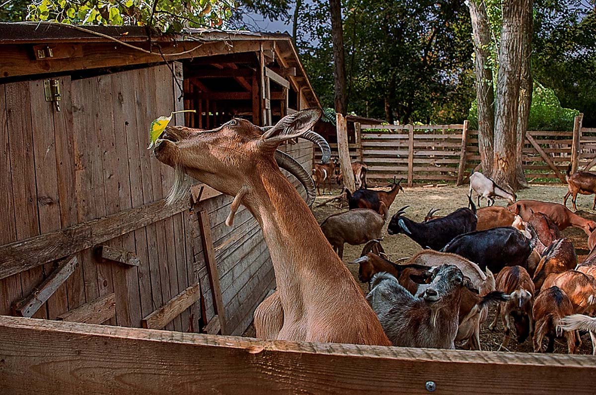 Magócsiné Kis Krisztina fotográfus vizsgaremek 