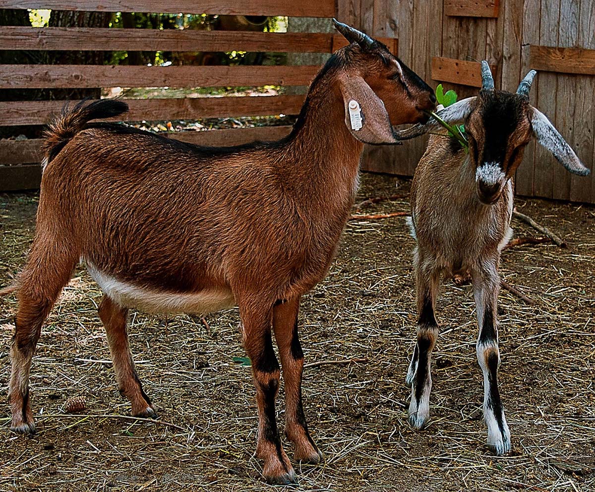 Magócsiné Kis Krisztina fotográfus vizsgaremek 