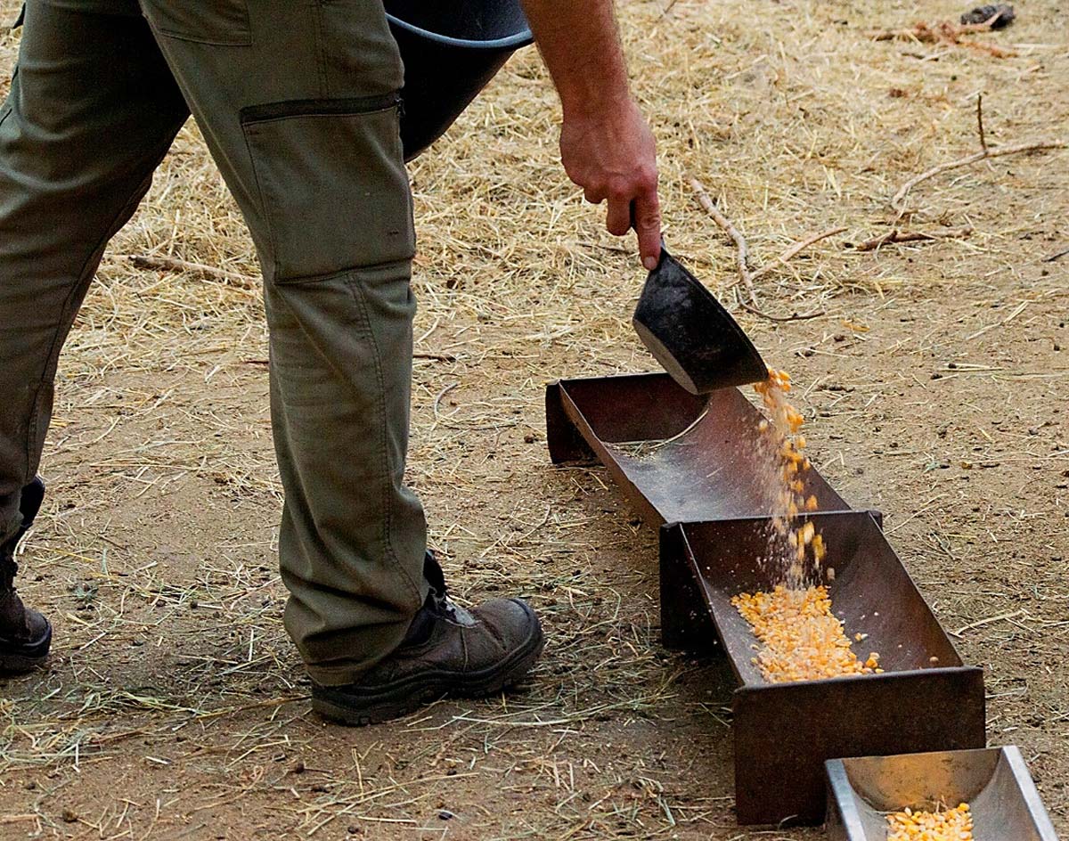 Magócsiné Kis Krisztina fotográfus vizsgaremek 