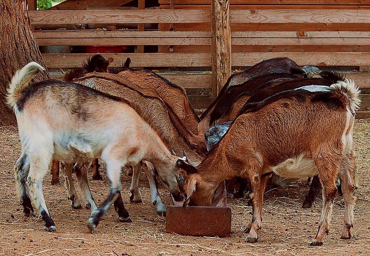Magócsiné Kis Krisztina fotográfus vizsgaremek 
