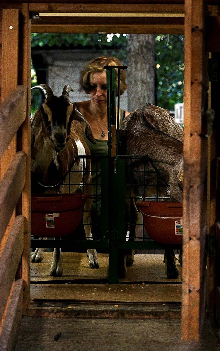 Magócsiné Kis Krisztina fotográfus vizsgaremek 
