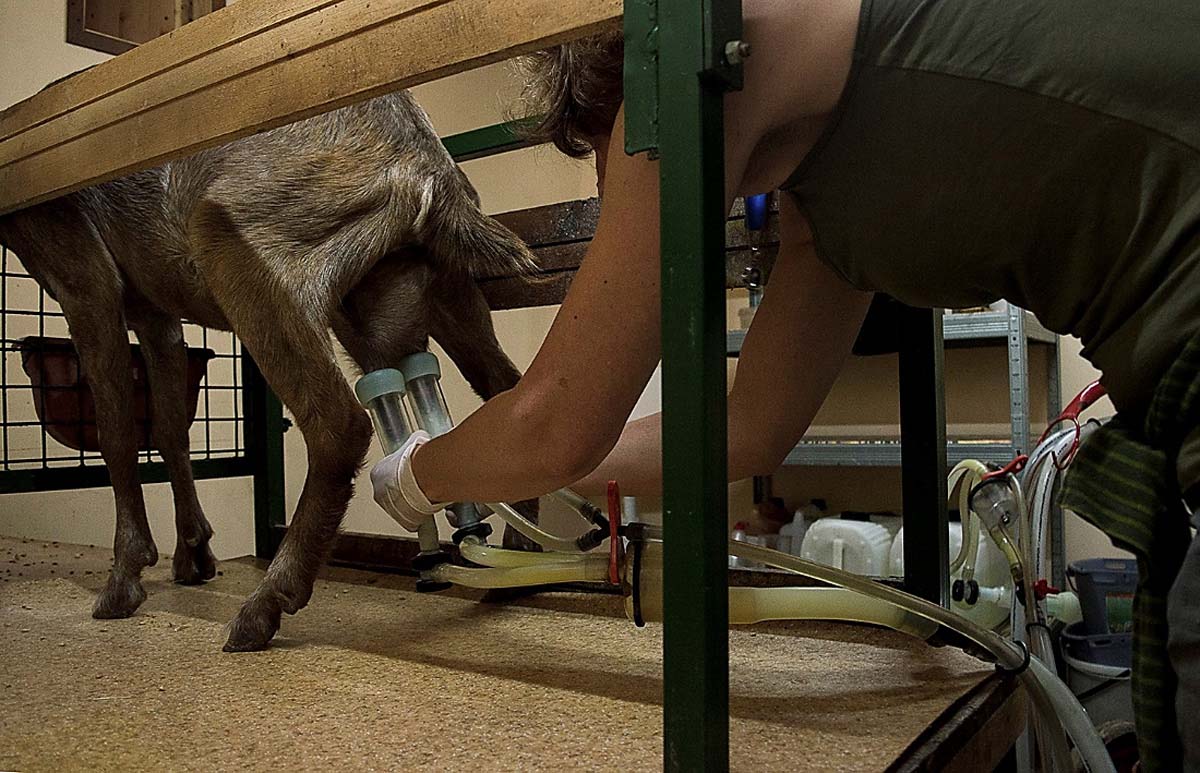 Magócsiné Kis Krisztina fotográfus vizsgaremek 