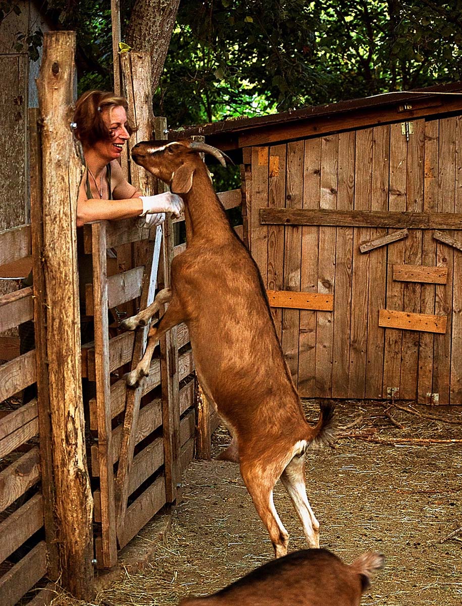 Magócsiné Kis Krisztina fotográfus vizsgaremek 