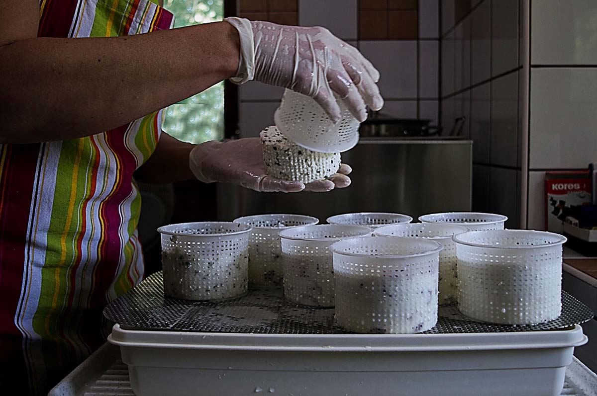 Magócsiné Kis Krisztina fotográfus vizsgaremek 