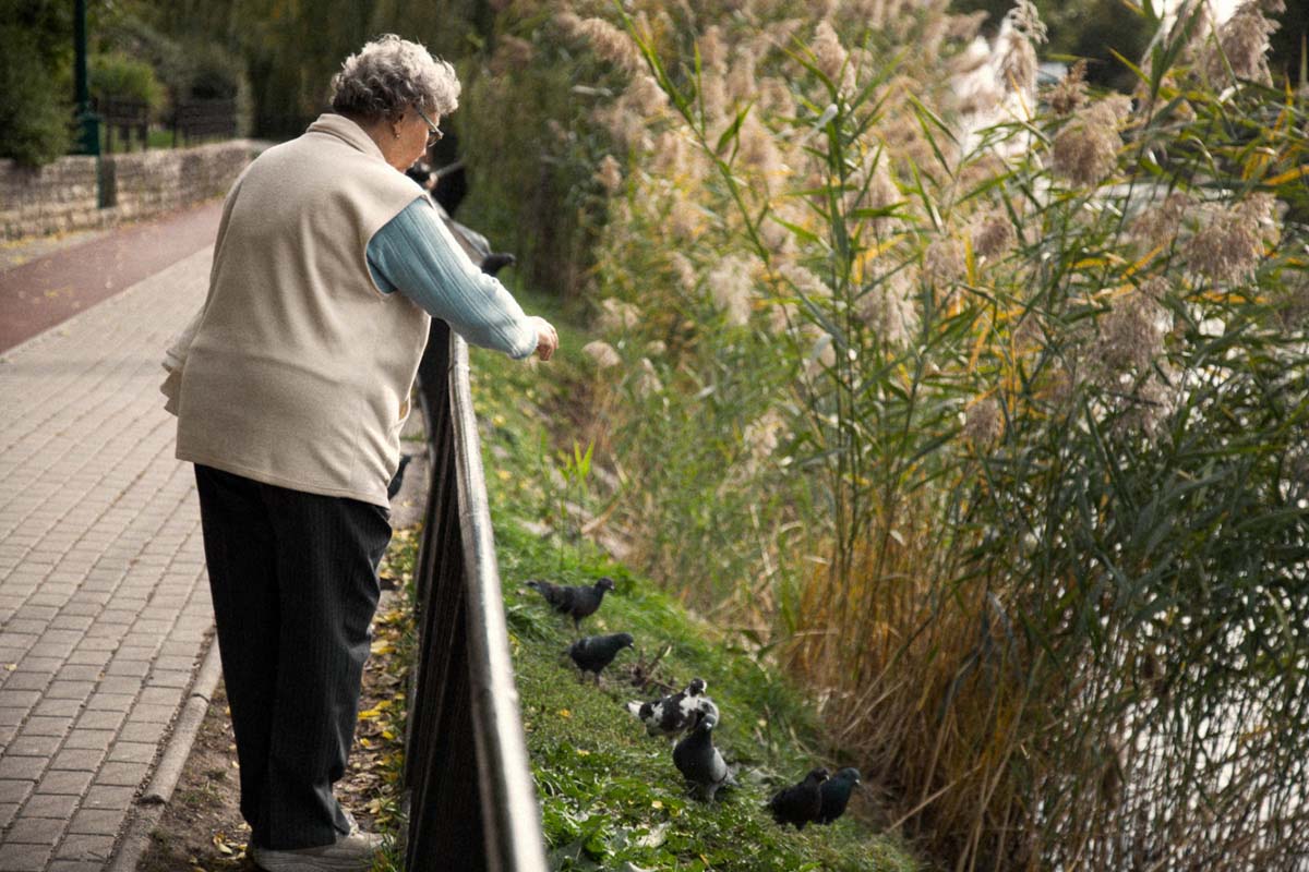 Pozsonyi-Tóth Viktória fotográfus vizsgaremek 