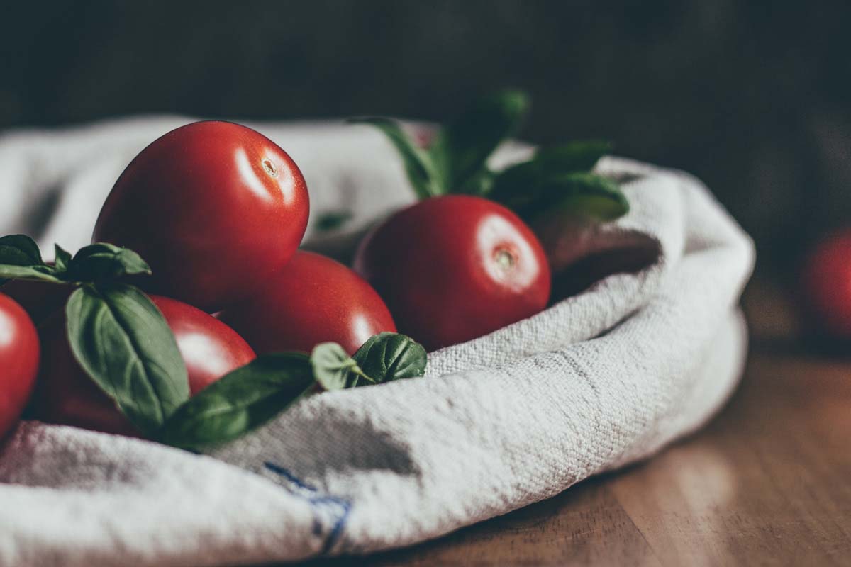 Pozsonyi-Tóth Viktória fotográfus vizsgaremek 