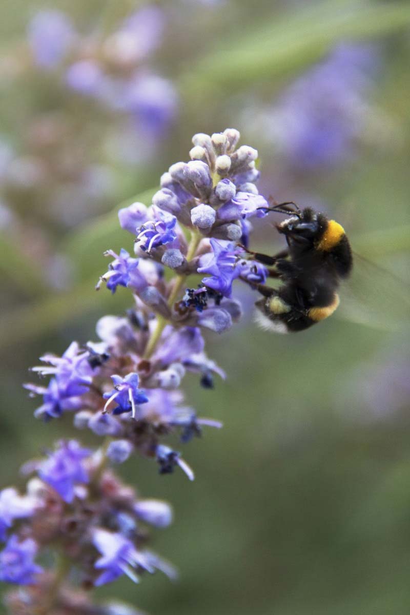 Pozsonyi-Tóth Viktória fotográfus vizsgaremek 
