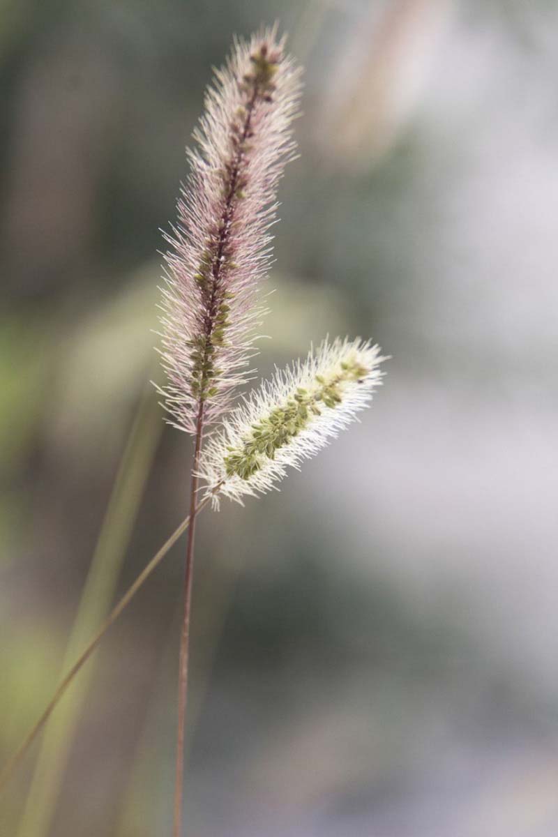 Pozsonyi-Tóth Viktória fotográfus vizsgaremek 