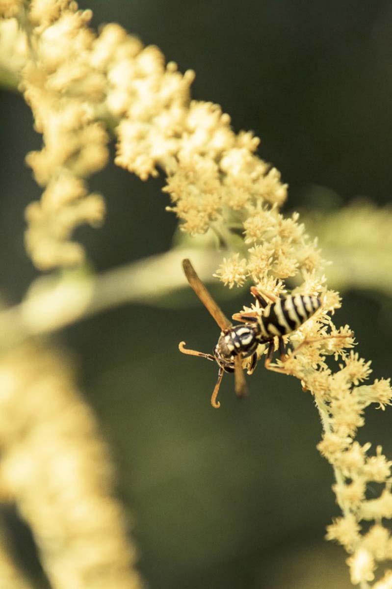 Pozsonyi-Tóth Viktória fotográfus vizsgaremek 