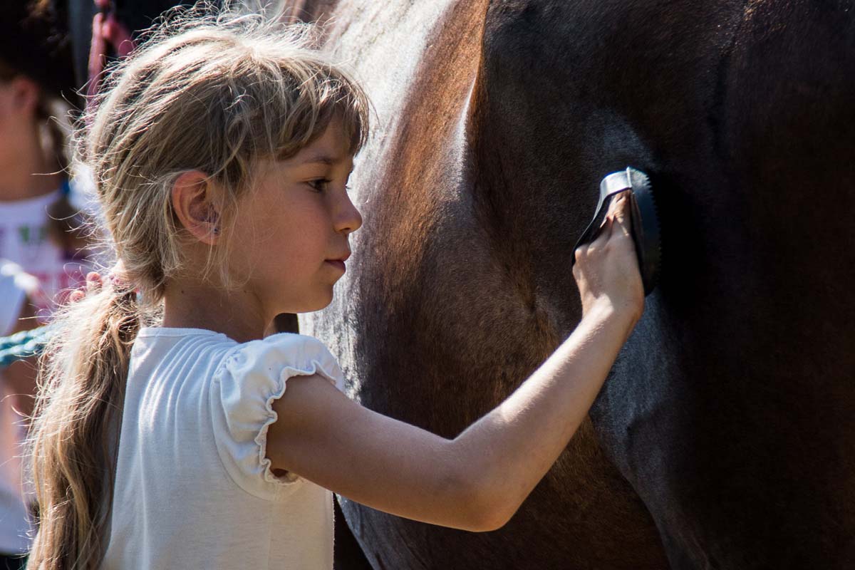 Pozsonyi-Tóth Viktória fotográfus vizsgaremek 