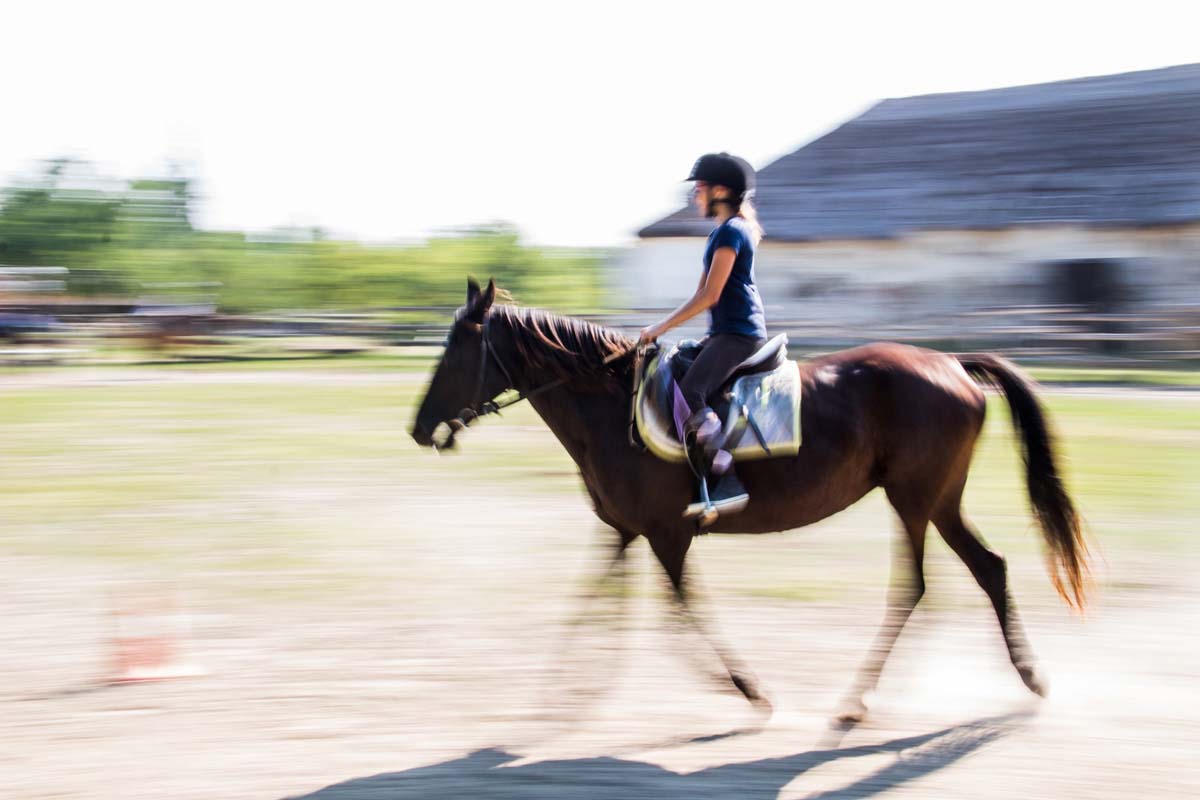 Pozsonyi-Tóth Viktória fotográfus vizsgaremek 