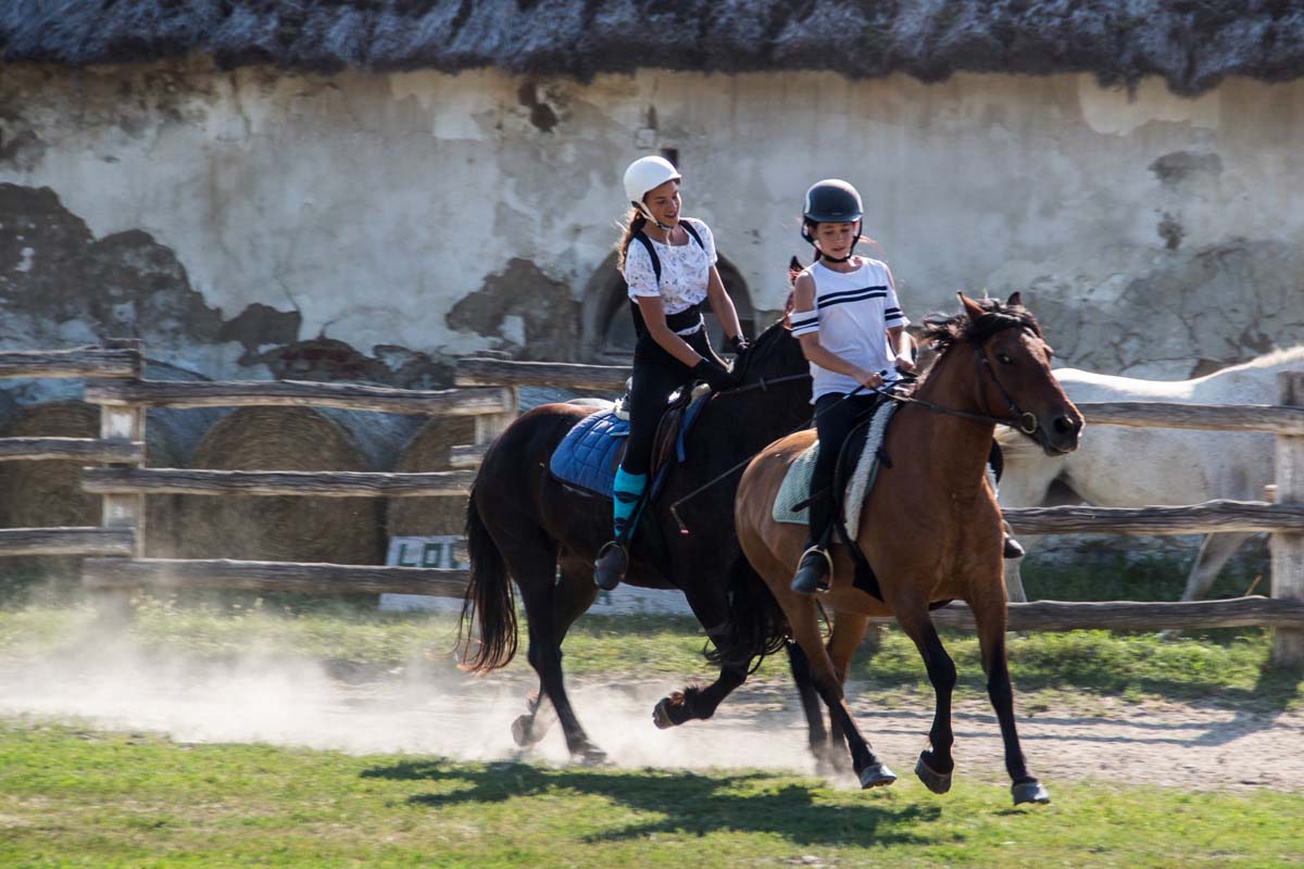 Pozsonyi-Tóth Viktória fotográfus vizsgaremek 