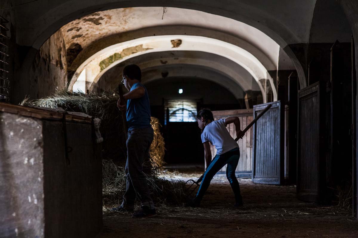 Pozsonyi-Tóth Viktória fotográfus vizsgaremek 